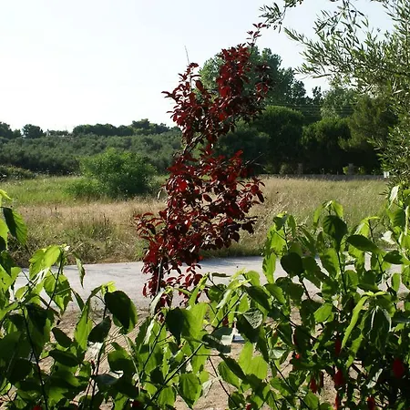 Holiday home Lithos Stone House