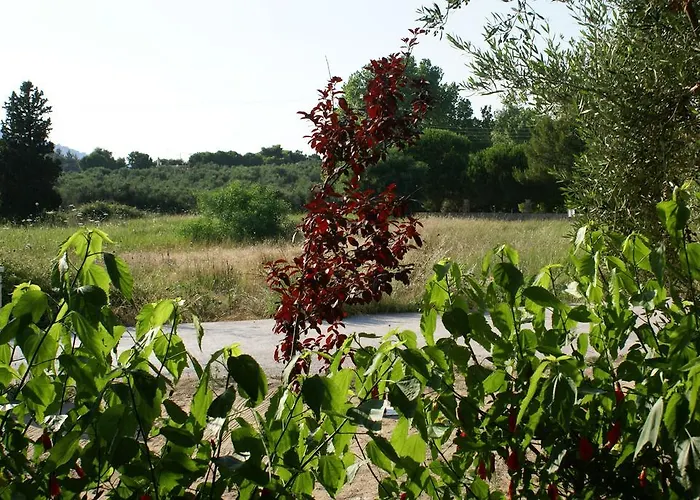 Casa vacanze Lithos Stone House